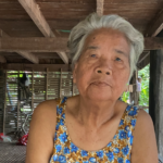 បបរលាយផ្លែខ្វិត