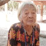 ដឹកជញ្ជូនស្រូវទាំងកូនខ្ចី