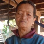 ការពិតបងថ្លៃរបស់ខ្ញុំត្រូវបានកងឈ្លបសម្លាប់ដោយសារដំឡូងមួយមើម