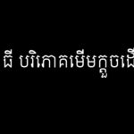 ស្វាយ ធី បរិភោគមើមក្ដួចដើម្បីរស់