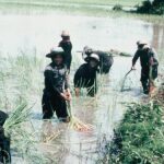 ប្រភពរូបថត៖ ហ្គូណា ប៊ឺកស្ត្រម (ខែសីហា ឆ្នាំ១៩៧៨)/បណ្ណសារមជ្ឈមណ្ឌលឯកសារកម្ពុជា