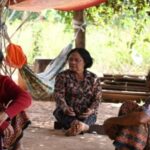 ជនជាតិព័រត្រូវបាត់បង់ប្រពៃណីទំនៀមទម្លាប់ តាំងពីសម័យខ្មែរក្រហម