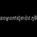 អនុប្រធានចម្ការកៅស៊ូតាប៉ាវ ភូមិភាគបូព៌ា
