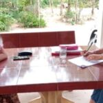 ស៊ុំ ស៊ីនួន៖ បញ្ញាវន្តដែលអង្គការមិនត្រូវការ