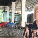 ស្បែកដណ្ដប់ឆ្អឹង