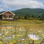 ប្រជាជនចង់ឃើញសន្តិភាពរវាងកម្ពុជា និងថៃ