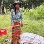 ឯម ទី និងតូយ មេន រៀបរាប់អំពីផលវិបាកនៃការប៉ះទង្គិចនៅតាមបណ្តោយព្រំដែនកម្...