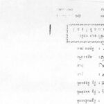 សុន វ៉ាន់នី៖ យោធាកងពល៣១០