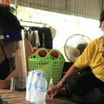 ព្រំ សារ៉េត៖ ស្វាយមួយដើម