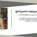 នៅ ទឹម៖ ឆ្លៀតដាំដំឡូងទាំងយប់ ដើម្បីកុំឲ្យម្ដាយនិងកូនដាច់ពោះស្លាប់