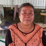 ហ៊ន ស៊ីដារ៉ា៖ ចម្ការកៅស៊ូ