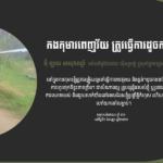 អ៊ុំ ឡាយ៖ កងកុមារពេញវ័យ ត្រូវធ្វើការដូចកងនារី