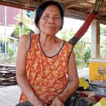 កងចល័តបុកស្រូវ